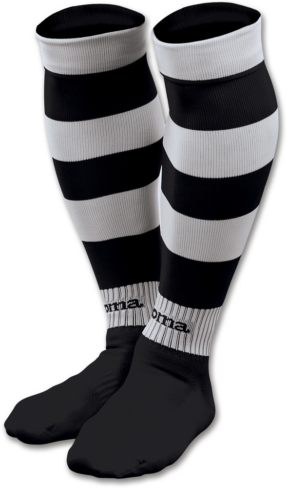 ZEBRA II
